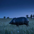 Real Wild 3D Competition Javelina Archery Target with EZ Pull Foam