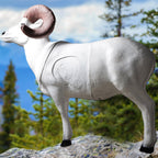 Real Wild 3D Dall Sheep
