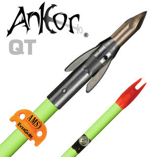 AMS Ankor QT