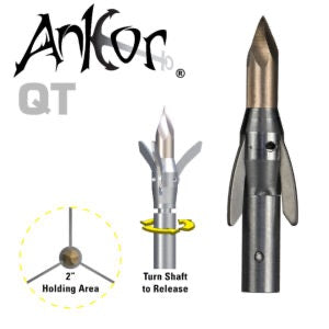 AMS Ankor QT