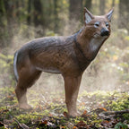 BIGshot Pro Hunter Coyote Archery Target